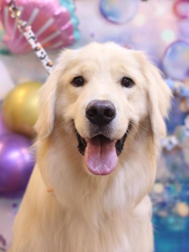 20240822ナナちゃん